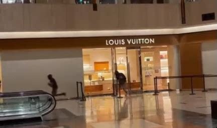 louis vuitton oceans mall|Louis Vuitton northbrook court.